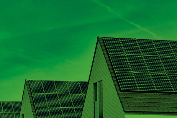 PKF Global sustainability client survey