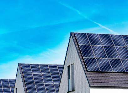 PKF Global sustainability client survey
