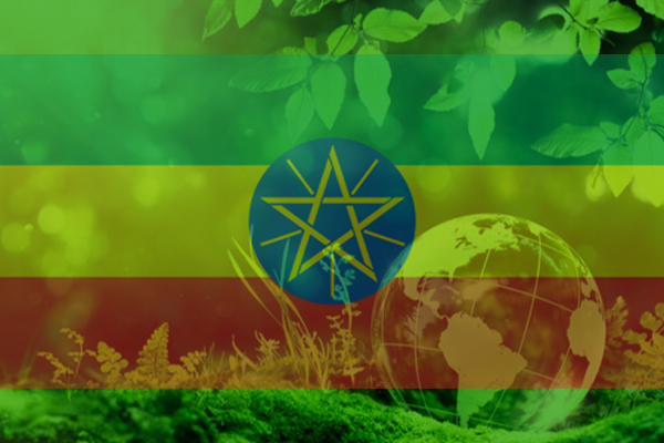 Sustainability and ESG perspectives