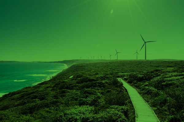 Why sustainability is the ultimate business advantage in a divided world